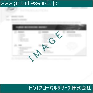 グローバルリサーチ調査資料のイメージ